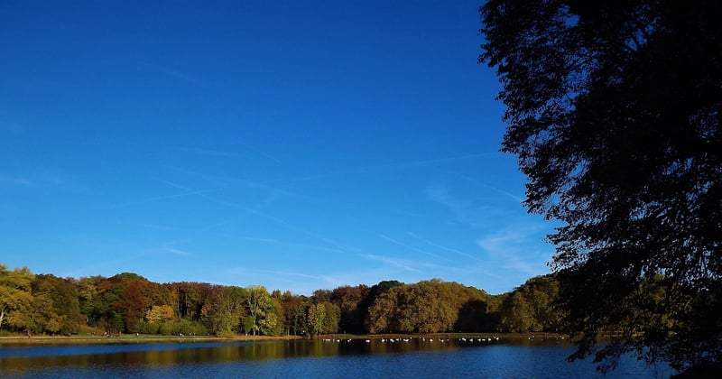 Week-end nature en forêt : 12 idées de séjours au calme