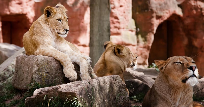 Voyage en famille avec enfants en bas âge : conseils pratiques