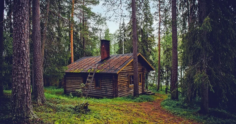Quel type d'hébergement en forêt choisir